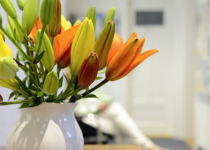 Hotel Marthahaus Berna