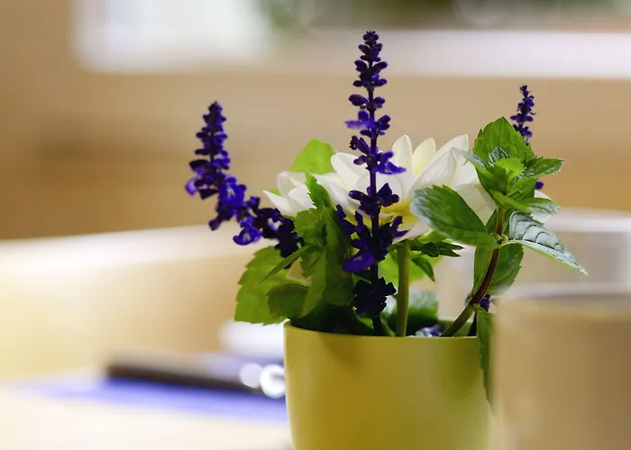 Marthahaus ホテル